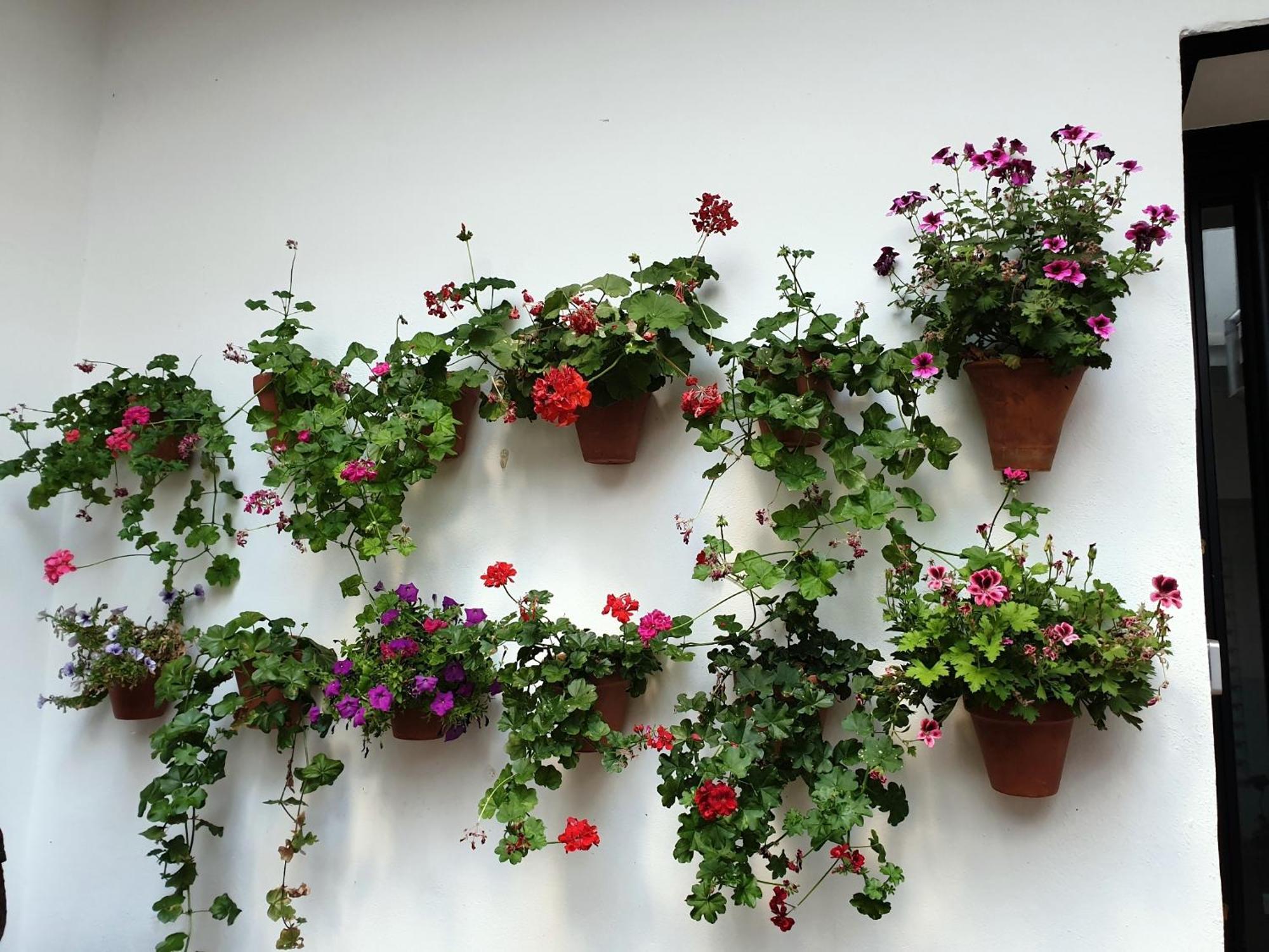 דירות קורדובה Entre Patios Y Flores מראה חיצוני תמונה